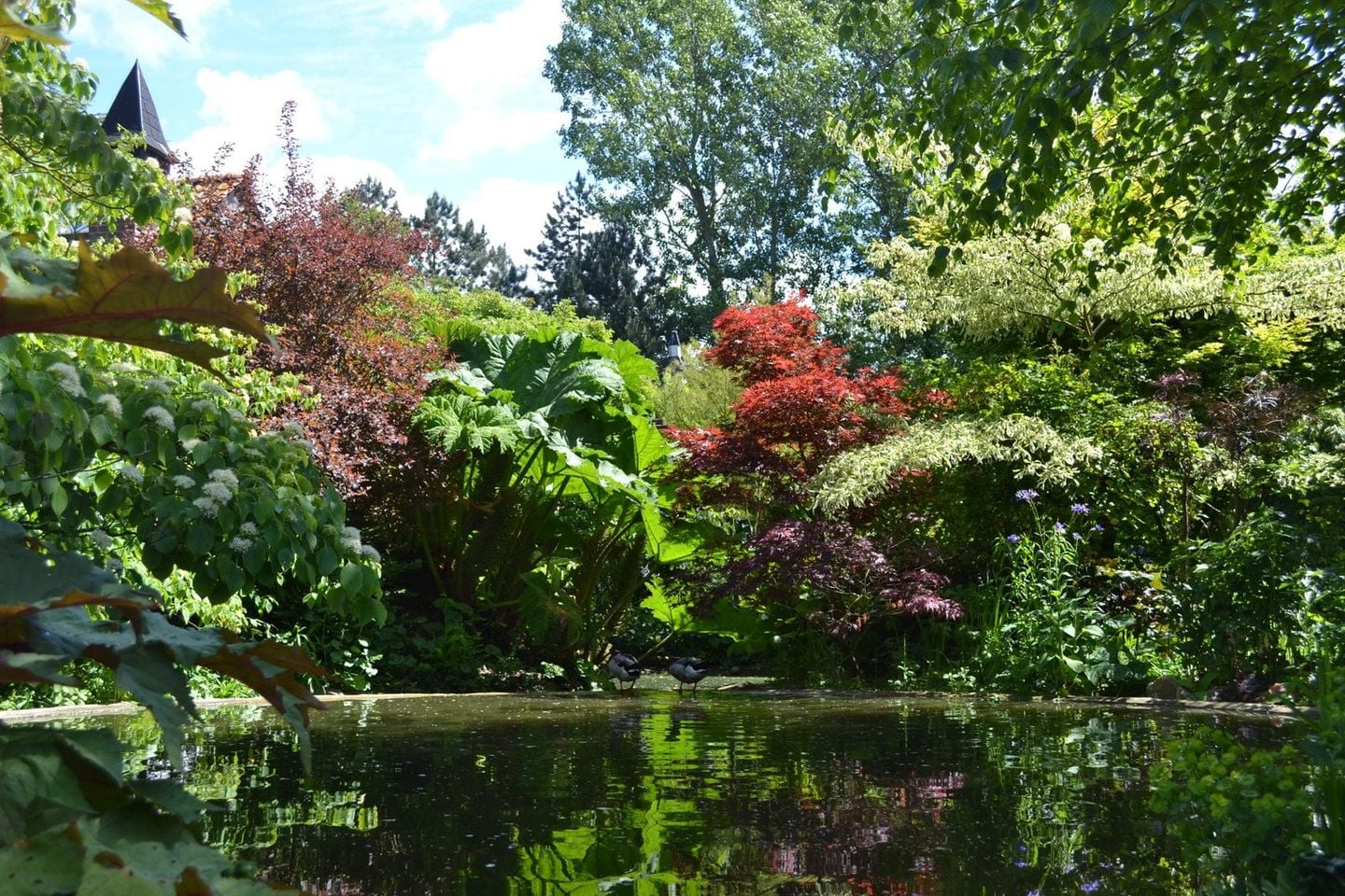 Le jardin et ses plantes